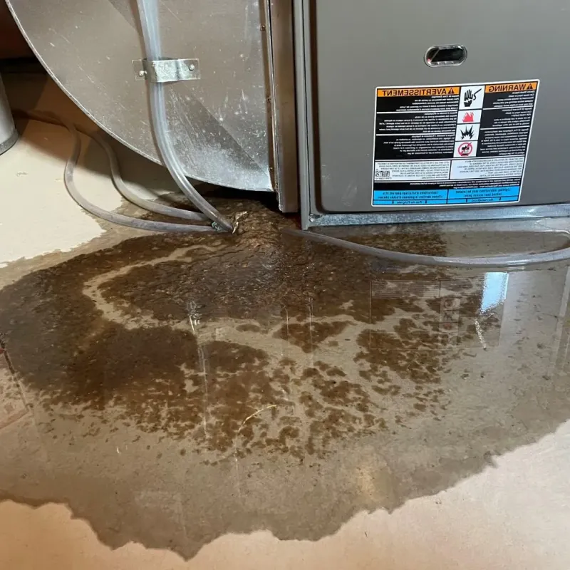 Pipe Burst and Leak Restoration in Fairfield Heights, IN