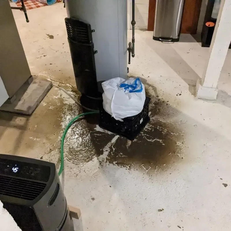 Sewage Backup Cleanup Service in Fairfield Heights, IN